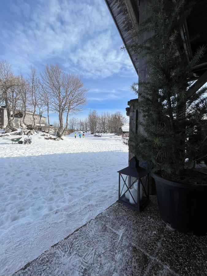 Chalet Burja At Vogel Mountain - Cable Car Access Or Hiking - Not Reachable With Car Bohinj Exterior foto