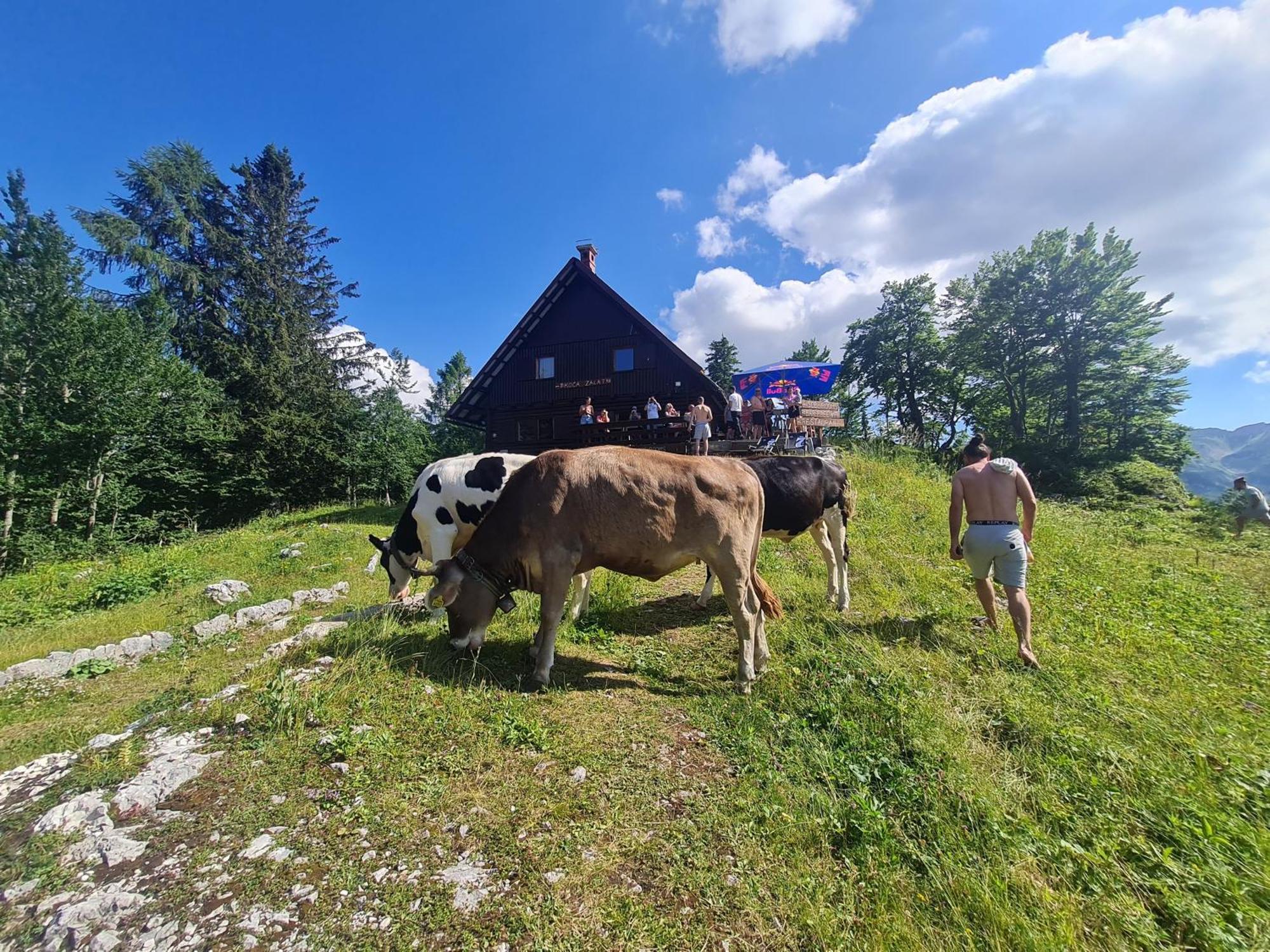 Chalet Burja At Vogel Mountain - Cable Car Access Or Hiking - Not Reachable With Car Bohinj Exterior foto